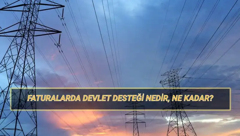 2025 Yılı İçin Doğalgaz ve Elektrik Faturası Devlet Desteği: Kimler Yararlanabilir?