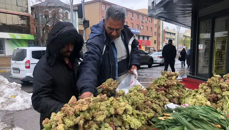 Kendiliğinden Yetişen Mucizevi Bitki: Kanserle Mücadelede Umut Işığı