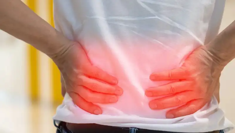 Böbrek Sağlığınızı Anlamanın Yolu: 7 Belirtiler Dikkat Çekiyor