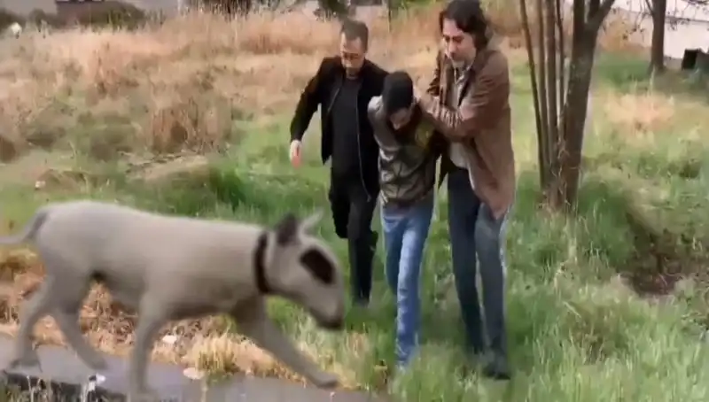 430 Bin Liralık Şampiyon Köpeği Çalan Hırsızın Yakalanma Hikayesi
