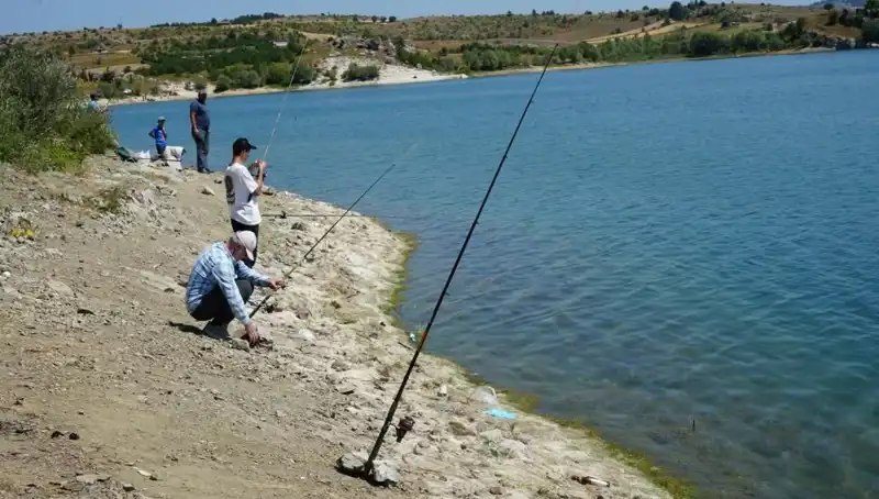 Kafeslerdeki Patlama, Baraja Aksesuarlı Bir Koşu Yarışı Başlattı