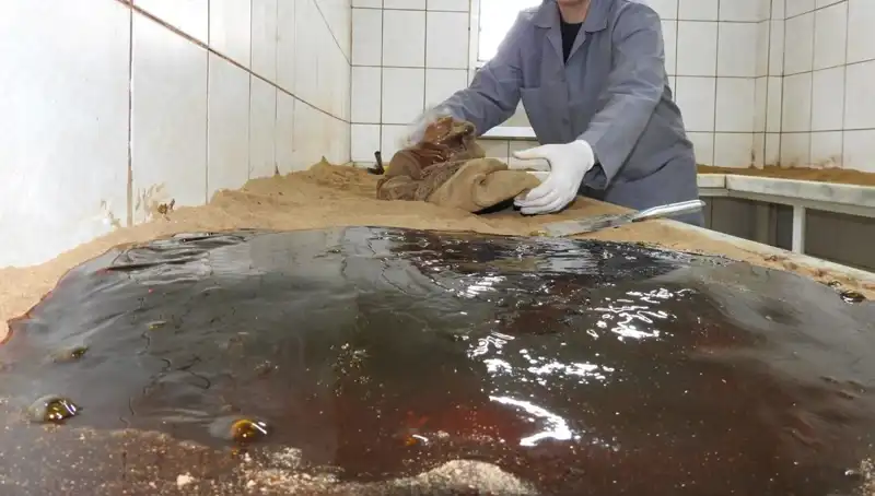 Türkiye’nin Geleneksel Baharat Duası: 485 Yıldır Sürdürülen Eşsiz Ritüel