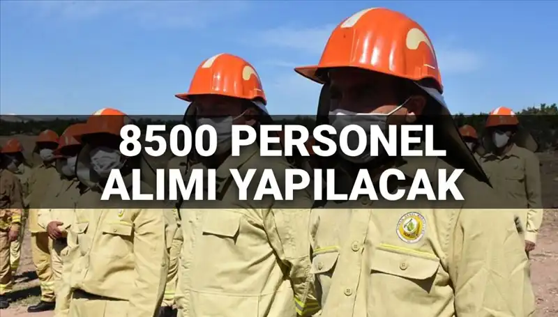 2025'te Tarım ve Orman Bakanlığı'na 8500 Personel Alımı! Şartlar Belirlendi mi?