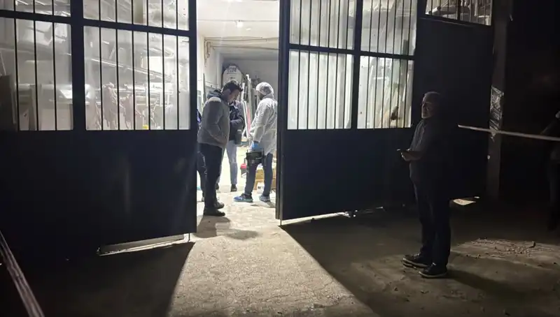 İş Yerinde Şok Edici Cinayet: Katillerin Korkunç Planı Ortaya Çıktı