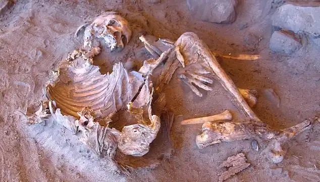 Yeni Mumya Keşfi: İnsanlığın Soy Ağacı Değişiyor Mu?