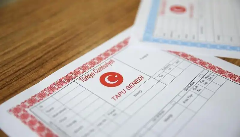 100 Milyonluk Hisseli Tapu Dolandırıcılığı: Yalanın Arkasındaki Tuzağı Ortaya Çıkarıyoruz